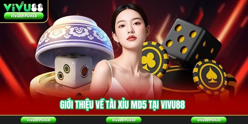 Giới Thiệu Tài Xỉu MD5 Tại Vivu88