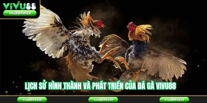 Lịch sử hình thành và phát triển của đá gà Vivu88