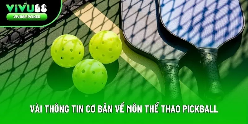 Vài thông tin cơ bản về môn thể thao Pickball