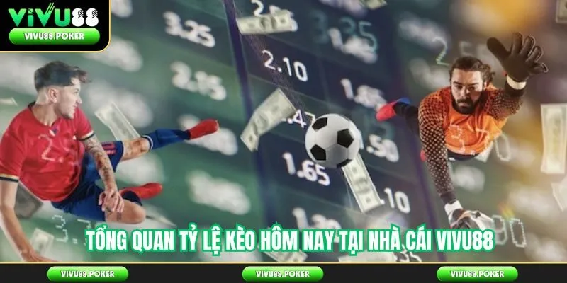 Tổng quan tỷ lệ kèo hôm nay tại nhà cái Vivu88